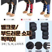 최강몰 강아지 말티즈 슬개골 쓸개골 고관절 골절 탈골 탈구 마사지 보호대 S M L 쓸개골보호대, 레드L