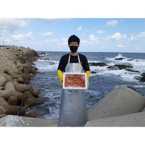 김프로 [산지직송 100%] 품질보장 연지홍게/박달홍게, [산지직송 100%] 자숙 연지홍게 라면용 10마리