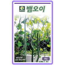 사두오이/뱀오이 5립 가정원예 채소종자 텃뱥작물 주말농장 채소기르기 텃밭채소