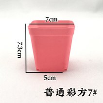 꽃 받침대 월계 두꺼운 측 대야 플라스틱 식물 입체 미니 사이즈 경치 많다 고기 비닐 화분 특 1768871528, 일반핏 복권방 7번 핑크 30 개