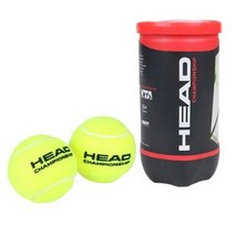 헤드 쳄피온쉽 2B 테니스볼, 혼합 색상, 2개