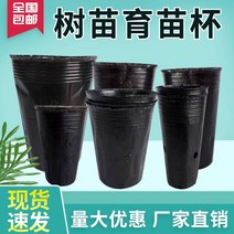 묘목 컵 비닐포트 영양 그릇 플라스틱 특수 모양의 모종 냄비 얇은 고영양 가방 일회용, 12.2530 소형 실제 2025 cm 1000