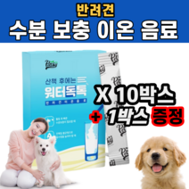 강아지 반려견 이온음료 산책 야외 활동 임신 수유 기간 수분 에너지 탈수 보충 당질 전해질 영양 공급 미네랄 활력 충전 포도당 구연산 비타민C 스피츠 퍼그 시바견 쉽독 사모예드, 10박스 + 1박스 추가
