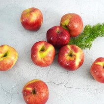 더조은 아리수 사과 가정용 2kg 5-6과, 단품