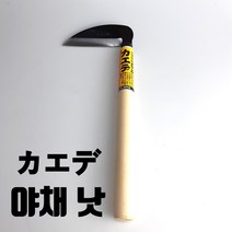 와이앤케이몰 MADE IN JAPAN 가야데 날165MM 시금치 야채낫