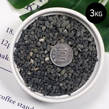 마이플랜트 콩자갈 3kg 소포장, 블랙(5mm)