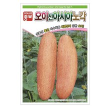 A-신아시아노각오이 150립 채소 종자