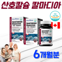 식약처인정 캐나다직수입 홈쇼핑 약국 수산화 마그네슘 칼마아디 안면근육 한쪽 눈떨림 어린이 청소년 직장인 임산부 임신 초기 중기 후 출산후 마그네슘 영양제 약 3개월, 2통, 180정