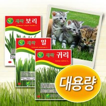 [토단] 대용량 캣그라스 씨앗 밀 보리 귀리, 새싹밀 500g