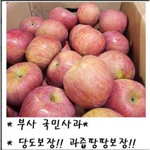 맛 보장!! 과즙팡팡 보장!! 산지직송 고당도 청송 부사 사과 3kg/5kg/10kg, 10kg(꼬마사과)_53~58개
