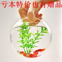 벽걸이어항 아크릴 벽 장착 물고기 탱크 거실 수경 꽃병 홈 장식 1 pc, 15cm 흰색