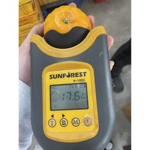 탐라인 신품종 고당도 설국향 수라향 신비향 아스미 가정용 5kg, 1box