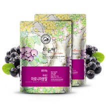 산들해 국내산 아로니아분말, 500g, 2개