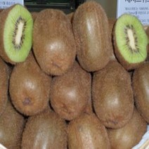 키위나무(그린)접목1년(숫나무)묘목/e0300