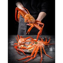 선주 산지직송 속초 (고급 최고급형)박달홍게 택배 포장 생물 찜 선물용 접대용 게요리, 3마리, 박달홍게(최고급) 600g 이상