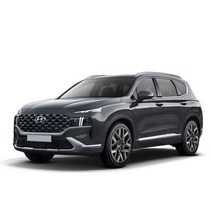 오토크로바 더 뉴 싼타페 2020 크롬썬바이저, 현대