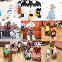 강아지옷 소형견전용 애견의류, 46 파인애플T, 블루