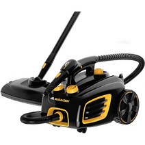 McCulloch MC1375 캐니스터 스팀 청소기, 기본
