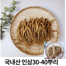 인삼 수삼 실속형 5년근 햇수삼30-40 뿌리 삼계탕 믹서용 원수삼 (빠른무료배송)