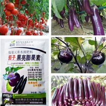 토마토 및 가지 채소용 비료 빠른 뿌리 내리기 정원 식물 식품 뿌리 줄기 촉진 뿌리 작물 수경 농장, 한개옵션0