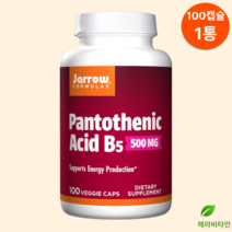 자로우 Jarrow 판토텐산 500mg 비타민 B5 식물성 100캡슐, 1개, 100정