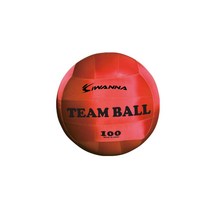 IW_팀볼_100cm_오렌지 /크고 가벼운 킨볼게임 전용 공, 쿠팡 팀볼 100cm_오렌지