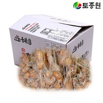 토종원 재래청국장 5kg 순창전통, 재래청국장 5kg 벌크