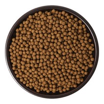 케이웰니스 칡환 갈근환 1.2kg 국내산 칡 뿌리 갈근 건강 한방 환, 단품