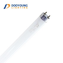 형광등 TLD 10W 20W 32W 40W 삼파장 전구 FL 램프 두영 조명 1BOX, 주광색 6500, 두영 FL 20W 1BOX