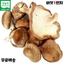 [생표고버섯건표고버섯표고버섯] 버섯1번지 장흥 무농약 국내산 못난이 표고버섯 2kg 실속형