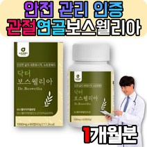 뼈마디통증 인도산 보스 웰리아 웰릭사 허리 에좋은 영양제