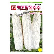옥수수씨앗)백초당 옥수수 (7401MP) (2000립) S2588, 선택완료