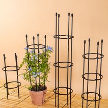 지지대 정원 펜스 화분 가드닝 넝쿨 비닐하우스 수태벽 등나무 고추대행거 화분 오이대 스마트팜딸기 화초 설치 만들, 5극  퍼걸러  163cm