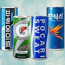 이온음료 240ml 포카리 게토레이 파워에이드 스포츠음료 30캔, 선택1) 게토레이