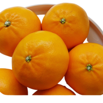천혜향 제주 과일 프리미엄 가정용 2kg 3kg 5kg 명절 설날 선물 명세트 고당도 설, 선물용가방, 선물용 2kg 중대과 5-10과