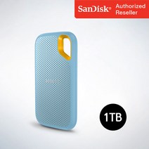 샌디스크 외장SSD Extreme 익스트림 방수 방진 휴대용 포터블 E61, 1TB, 스카이블루