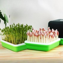 새싹 콩나물 땅콩 모종 재배 발아기 수경 식물재배기 스마트팜, 수경재배상자 4종세트 2