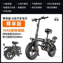 독일 접이식 전기 자전거 소형 동력 보조 운전 전기 자동차 자전거 운송 트램 배터리 자동차, 6. 특전 버전 15Ah  220km  10 중량, 48V, 35아