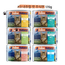K9 내추럴 캣 고양이 주식캔, 비프 피스트 170g