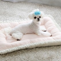 말썽쟁이여름 강아지 애견 개 펫 고양이 애완견 중형견 노견 마약 꿀잠 사각 쿠션 집 켄넬 에어 매쉬 방석, 다크그레이(레이스)