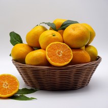 과일특공대 고당도 제주 노지 조생 비가림 타이벡 감귤, 노지감귤 2.5kg 중대과(L-2L) [초특가행사]