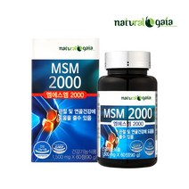 MSM 2000 1병
