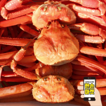 포항 대게 맛집 붉은 홍게 (영덕 울진 포항 연지 홍게 박달 홍게 3kg), (프리미엄형) 홍게 3kg 찜 (7~10마리)