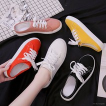 캔버스 블로퍼 DS-0050