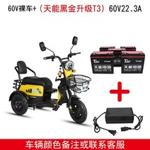 3륜 전기 오토바이 전동 전동차 2인승 삼륜 스쿠터, 06.60V 22A 배터리 충전기