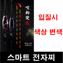 [아프리카피싱] 스마트 전자찌 나노신소재 입질시 색상변색 하우스 내림 바닥, 3목-스마트찌탑(몸통 제외)
