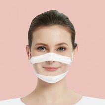 교육 수화 청각장애인 강의 언어 대량주문가능 10매입 입 방송 수업 보이는 이피다투명창마스크, 이피다투명창마스크-10매_대형L