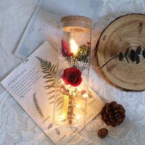 프리저브드 드라이플라워 LED 유리병 장미 꽃다발 예쁜 편지 편지지 특별한 기념일 생일 크리스마스 화이트데이 발렌타인데이 빼빼로데이 곰신 선물, LED 유리병 편지, 장미(크리스마스)
