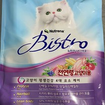 뉴트리나 비스트로 고양이 사료 6kg 300gx20봉 뉴트리나_888EA, 본상품선택