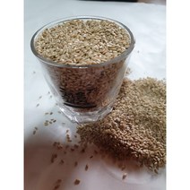 땅두릅씨앗 1컵 약2만립, 소주1컵약2만립